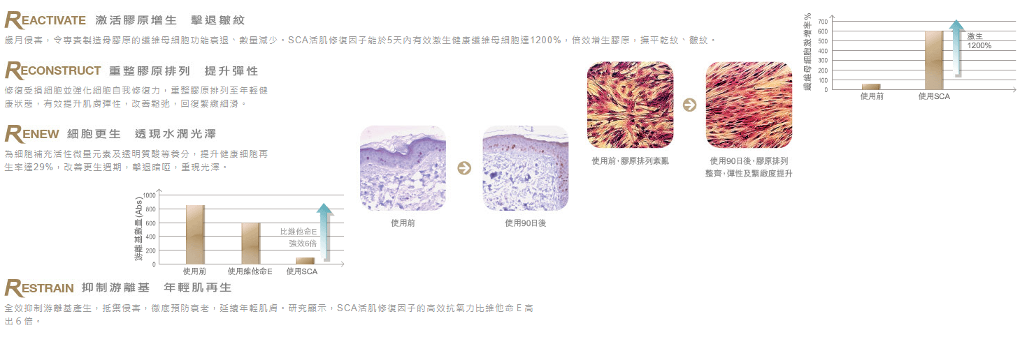 photo for endocare 12